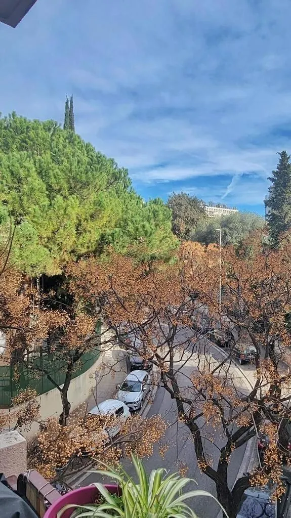 Beautiful 3 Room Apartment - Parking -Centre -Tram Nice Francie