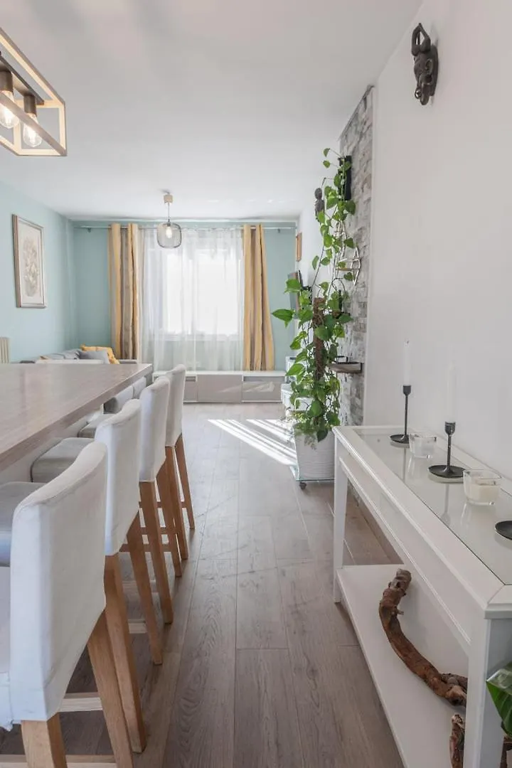Beautiful 3 Room Apartment - Parking -Centre -Tram Nice